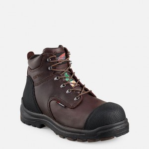 Red Wing 6-inch Waterproof CSA Safety Toe Boot Black-Brown | CEOPZM-341
