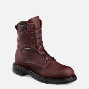 Red Wing 8-inch Waterproof Soft Toe Boot | PALGVH-142